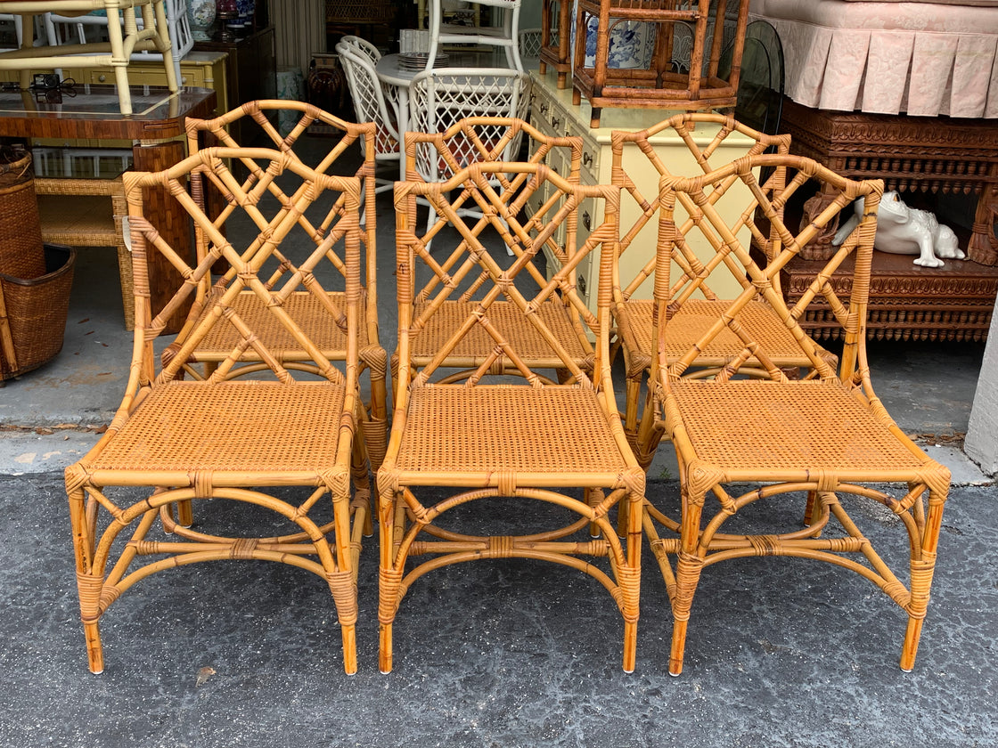 6 Rattan Chippendale Side Chairs