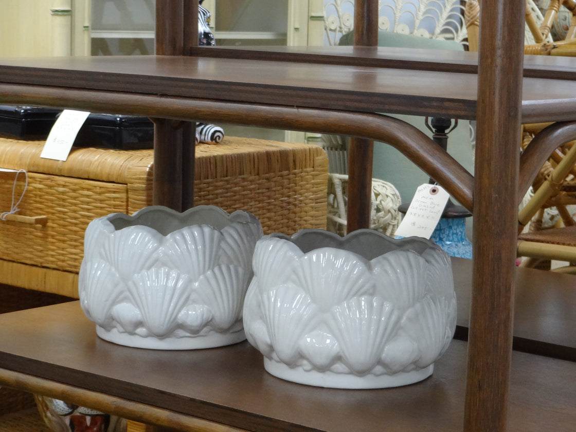 Pair of Clam Shell Cachepots