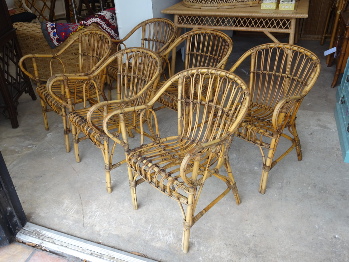 6 French Bamboo Albini Style Chairs