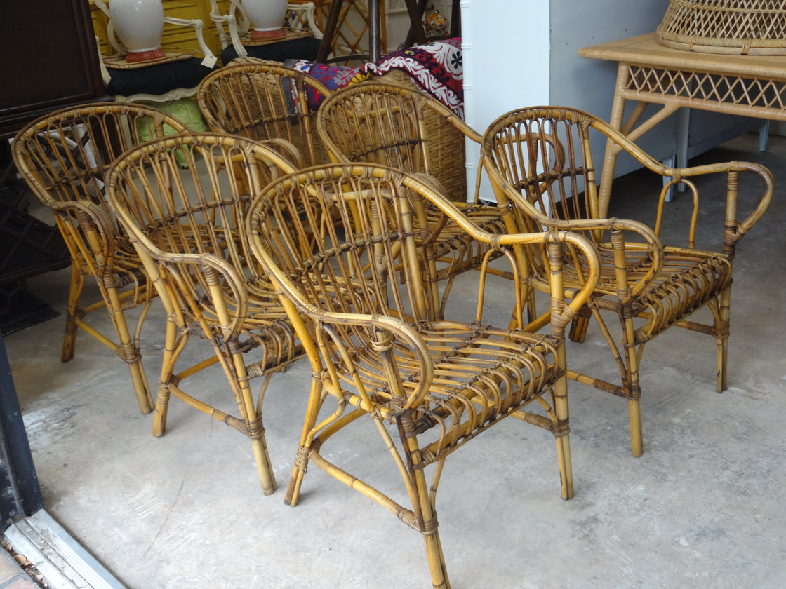 6 French Bamboo Albini Style Chairs