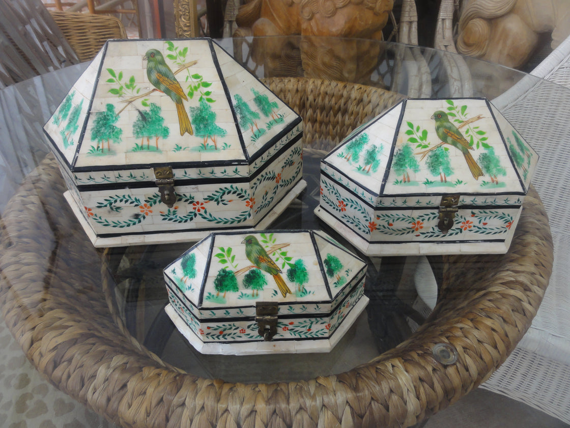 Green Parrot Nesting Boxes